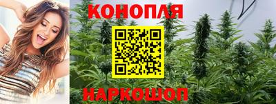mdpv Гатчина