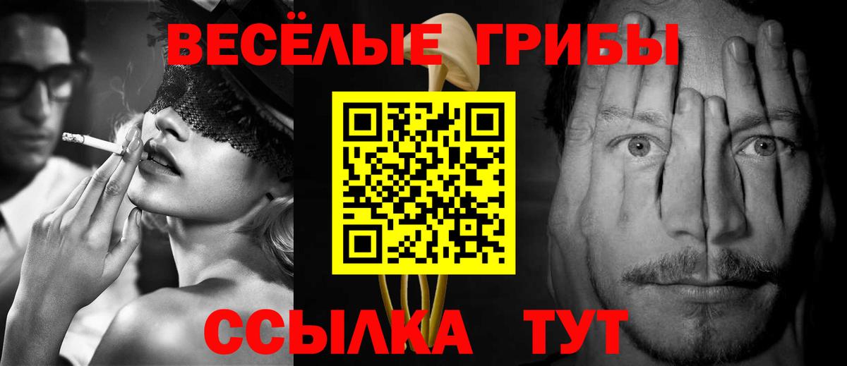 Чернушка  Псилоцибиновые грибы Psilocybine cubensis  Вход с VPN 