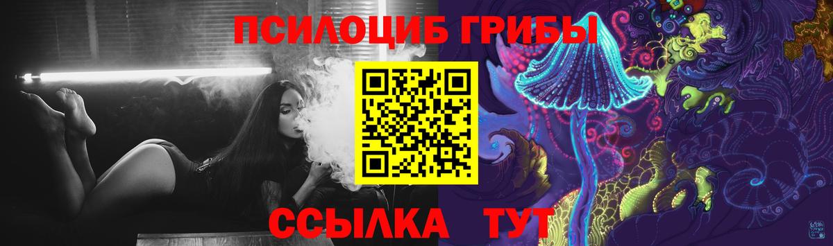 Псилоцибиновые грибы Psilocybe Чернушка